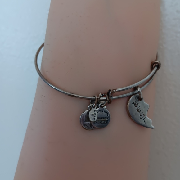 Alex and Ani Vintage Best Friends Bracelet - Picture 8 of 8